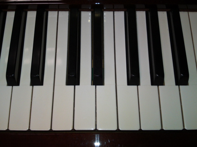 DIAPASON No. 132象牙 鍵盤