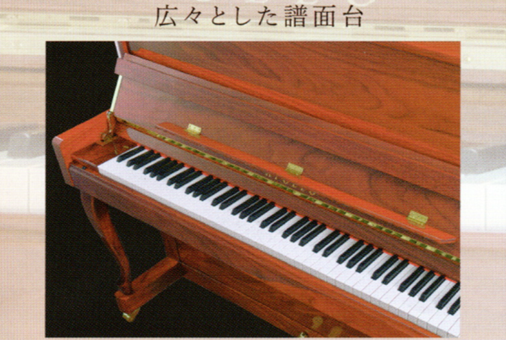 APOLLO A223WNC　鍵盤