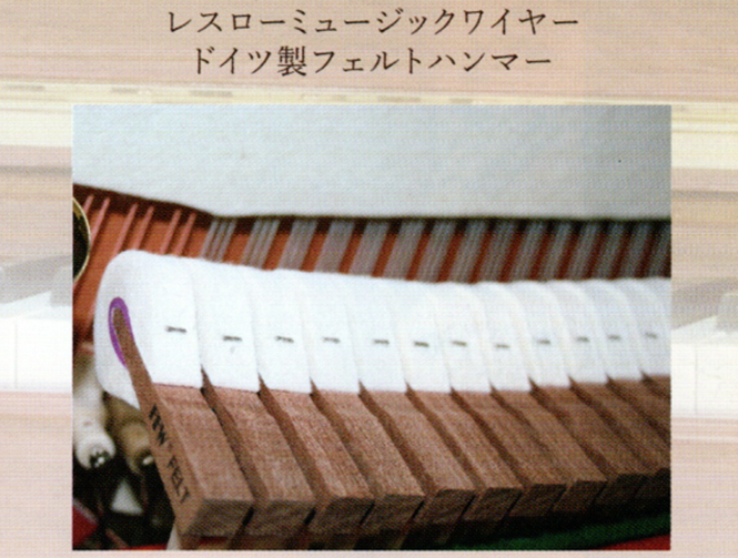 APOLLO A223WNC　アクション