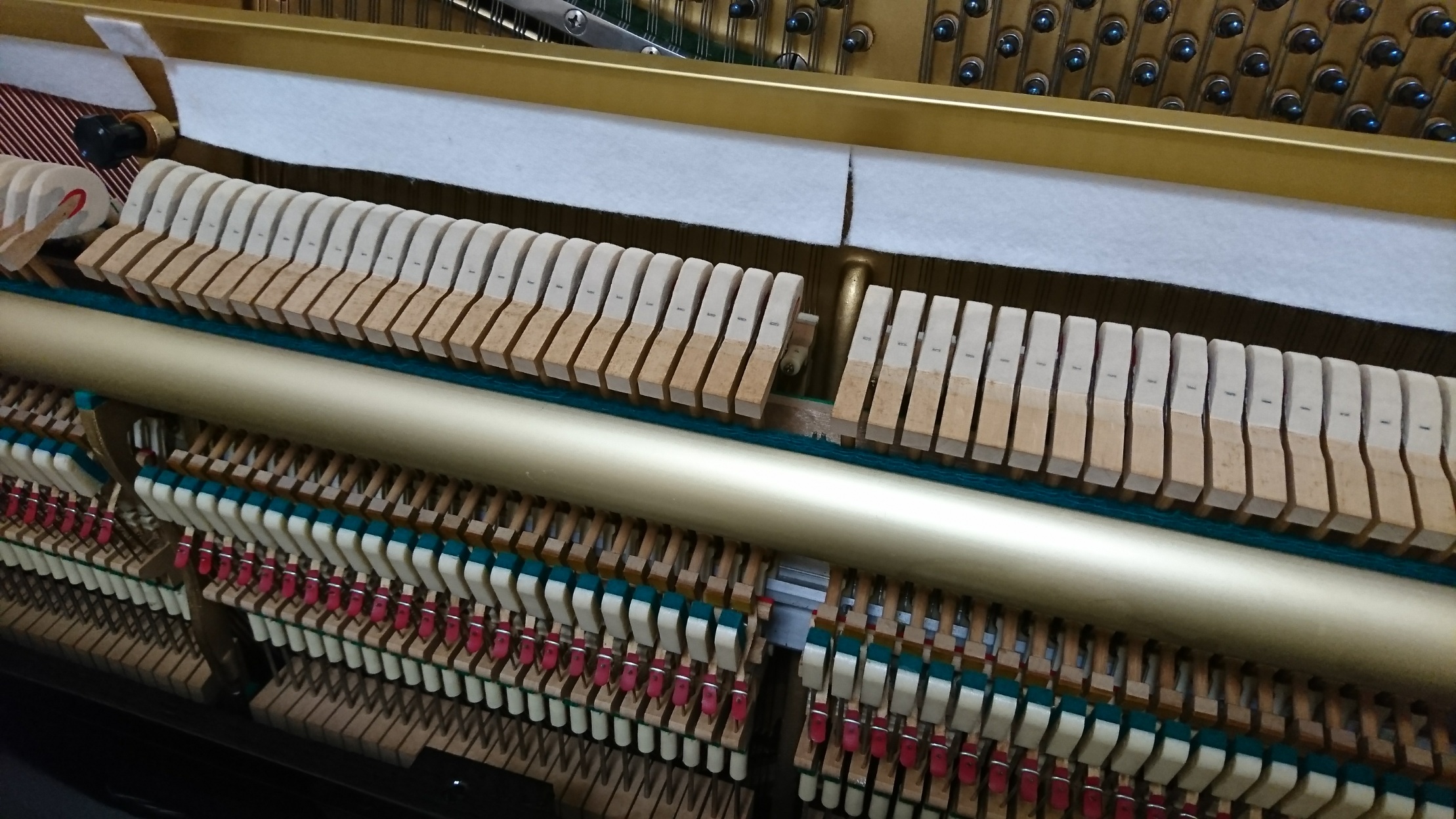 KAWAI KU-3D　アクション