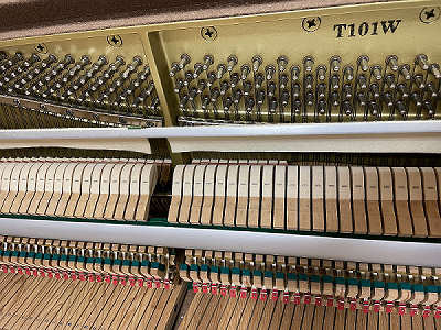 YAMAHA T101W　アクション