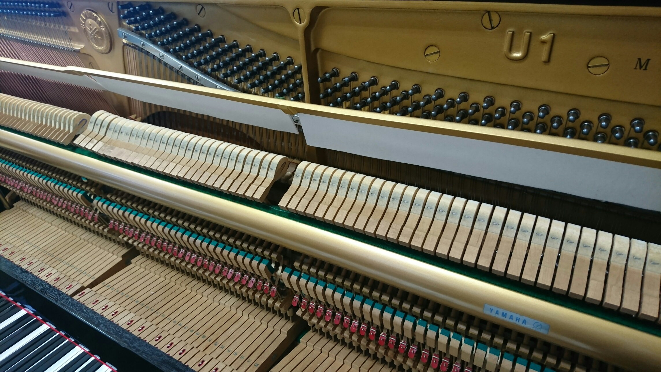 YAMAHA U1M　アクション