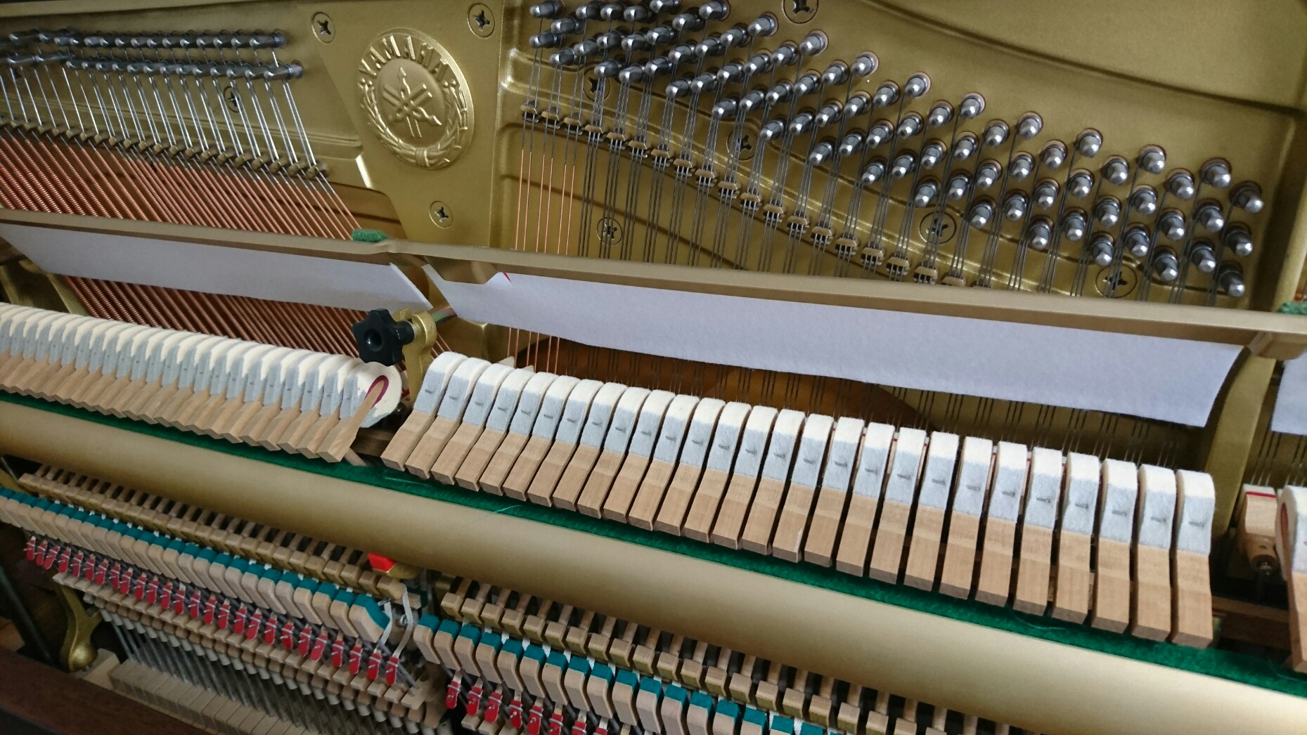 YAMAHA WX5AWnC　アクション