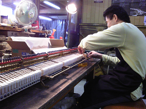 リビルド完了中の1907年製Steinway Model B　ウィペンの交換。