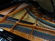bosendorfer　151　フレーム