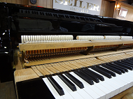 bosendorfer　151　アクション