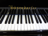 bosendorfer　151　ロゴ